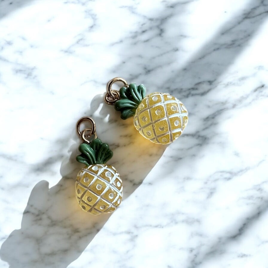 tropical dust plug charms