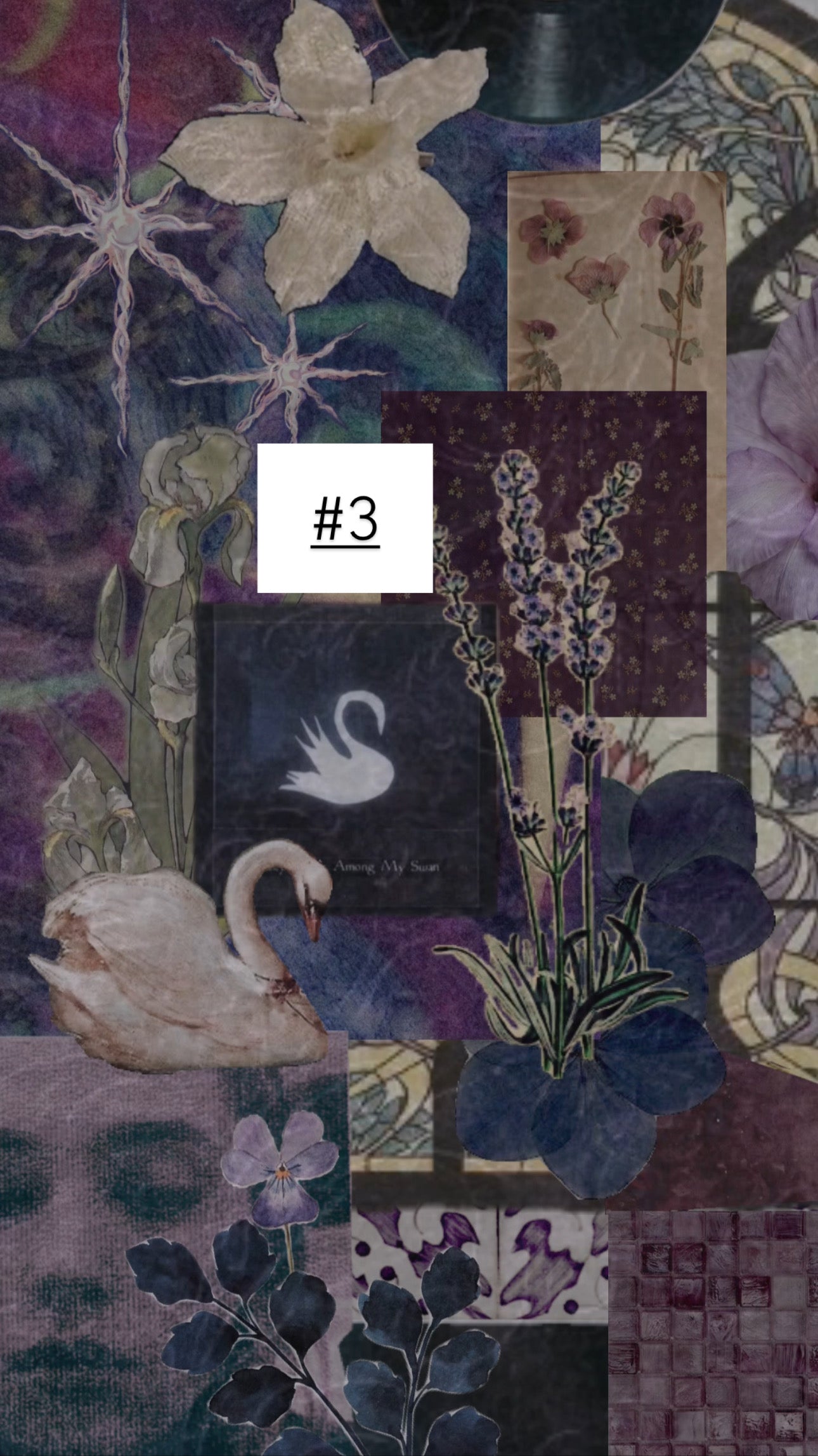 mystery custom set nails